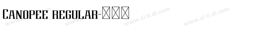 Canopee regular字体转换 Canopee regular字体转换